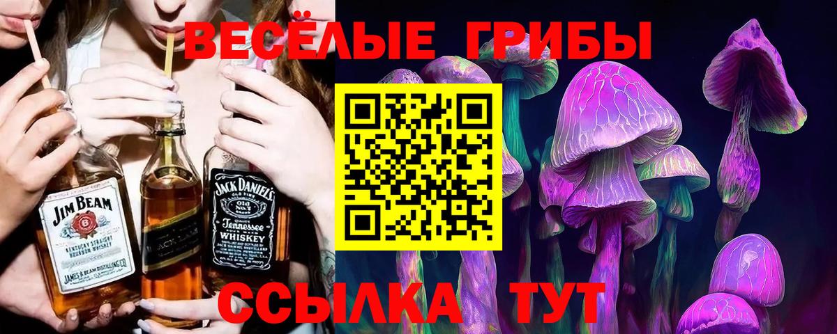 Псилоцибиновые грибы Magic Shrooms  Вход с VPN  Красногорск  Псилоцибиновые грибы MAGIC MUSHROOMS 